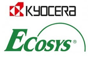 EcoSys